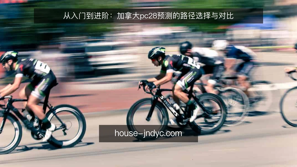 从入门到进阶：加拿大pc28预测的路径选择与对比