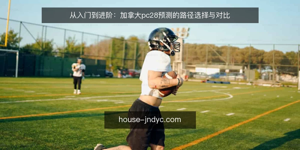 从入门到进阶：加拿大pc28预测的路径选择与对比 — 明确决策标准：从需求出发 配图