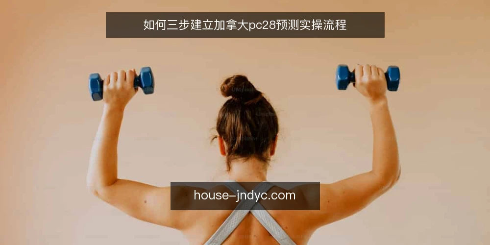 如何三步建立加拿大pc28预测实操流程 — 第一步：明确预测目标与数据准备 配图