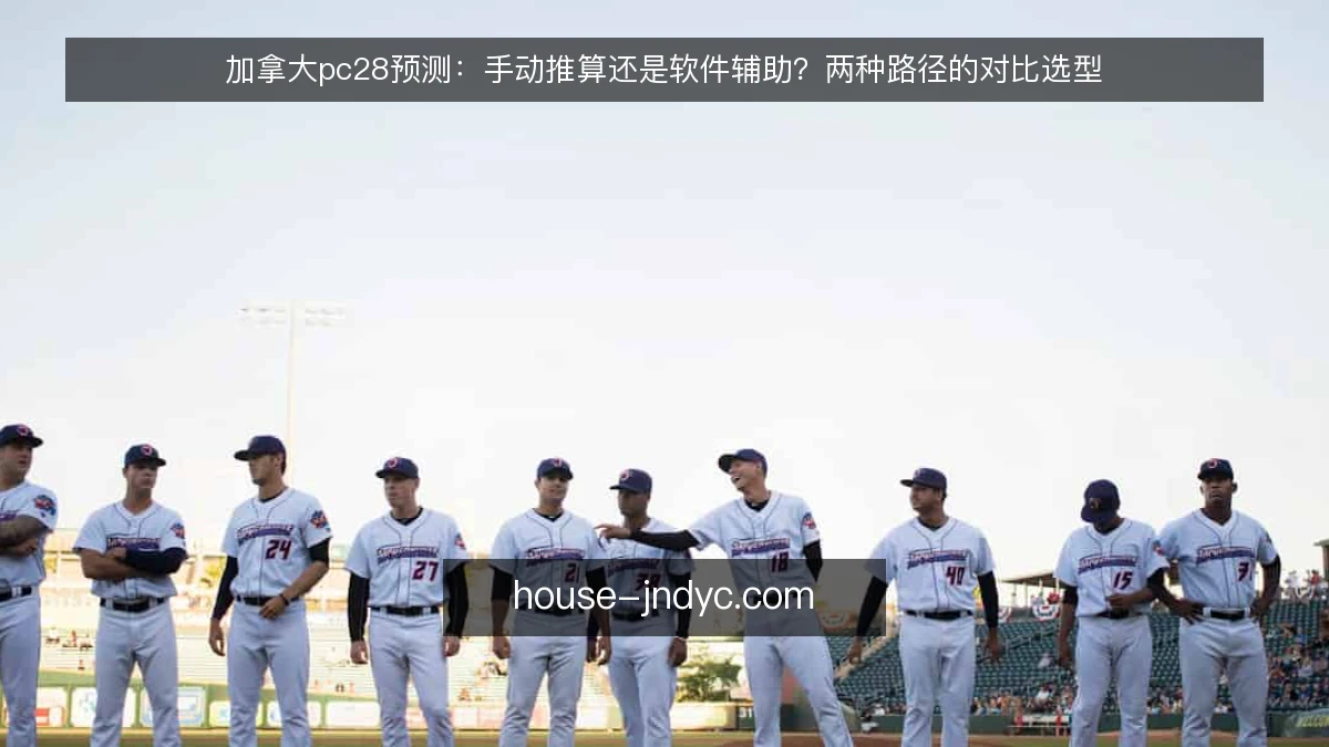 加拿大pc28预测：手动推算还是软件辅助？两种路径的对比选型